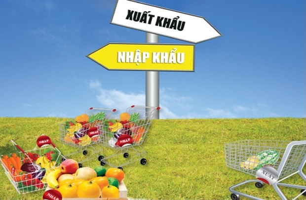 Ảnh minh họa. Nguồn: internet
