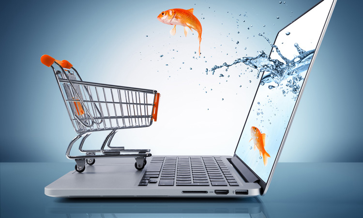 Ảnh minh họa. Nguồn: Internet