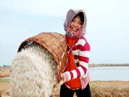 Cần quan tâm đến lao động nữ trong đào tạo nghề. Nguồn: internet