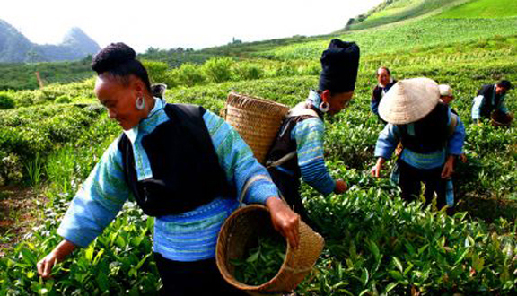Chấn chỉnh việc thực hiện chính sách giảm nghèo, đặc biệt là vùng dân tộc thiểu số. Nguồn: internet