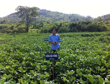 Chuyển đổi cơ cấu cây trồng năng cao thu nhập. Nguồn: backan.gov.vn