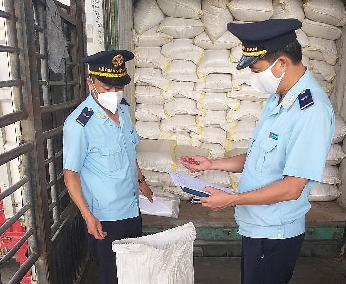 Công chức Chi cục Hải quan cửa khẩu quốc tế Thanh Thủy (Hà Giang) kiểm tra hàng hóa xuất nhập khẩu.
