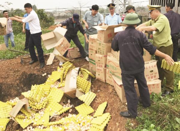 Trạm Kiểm soát liên hơn Km15-Bến tầu Dân Tiến tiêu hủy trứng gà nhập lậu trong tháng 4/2017.