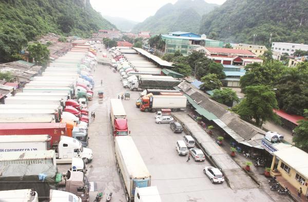Bãi kiểm hàng hóa của Công ty Thăng Long luôn kín chỗ đậu container.