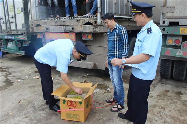 CBCC Hải quan Cốc Nam (Cục Hải quan Lạng Sơn) tăng cường kiểm tra hàng hóa NK. Nguồn: PV.