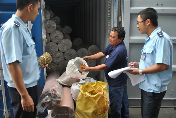 Công chức Hải quan cảng Sài Gòn KV1 kiểm tra thực phẩm nhập khẩu: Nguồn: PV.