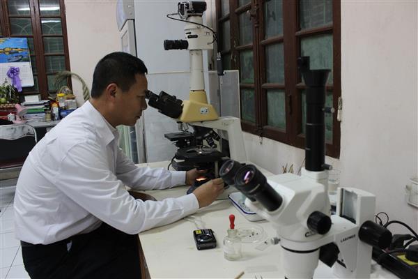 Hoạt động nghiệp vụ tại Chi cục Kiểm dịch thực vật Vùng I (Hải Phòng)- Cục Bảo vệ thực vật, Bộ Nông nghiệp và Phát triển nông thôn. Nguồn: PV.
