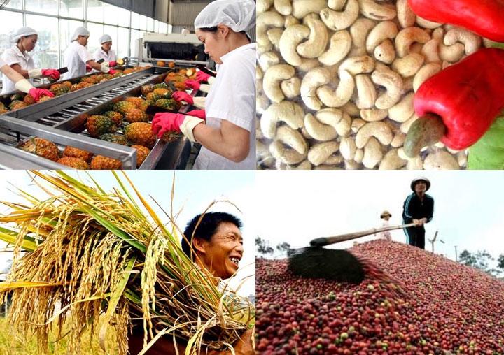 Năm 2019, ngành nông nghiệp phấn đấu đạt kim ngạch xuất khẩu 43 tỷ USD. Nguồn: internet