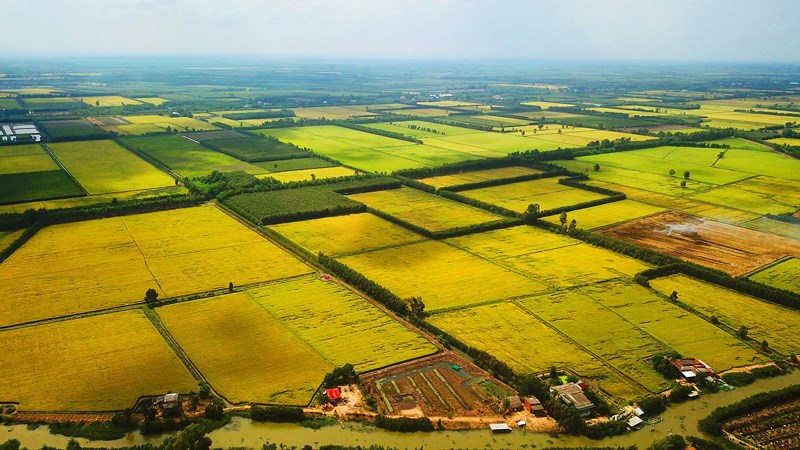 Chuyển dịch đất đai có tầm ảnh hưởng sâu rộng tới mọi mặt đời sống xã hội. Nguồn: internet