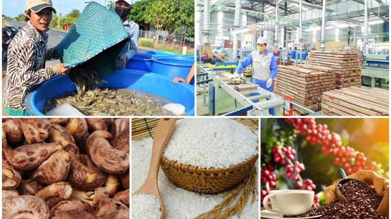 Ảnh minh họa. Nguồn: internet