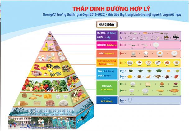 Chế độ ăn của một người nên cân bằng giữa các nhóm chất: tinh bột, chất xơ-vitamin, chất đạm, chất béo và gia vị. Nguồn: internet