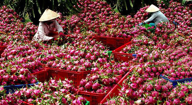Ảnh minh họa. Nguồn: internet