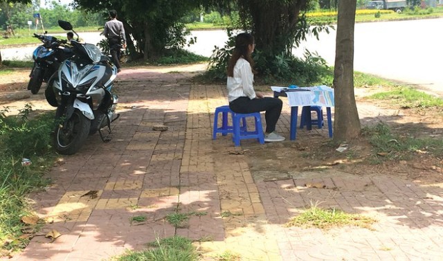 Ảnh minh họa. Nguồn: internet