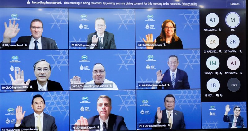Đại diện các quốc gia thành viên APEC tham dự Hội nghị tại các điểm cầu.