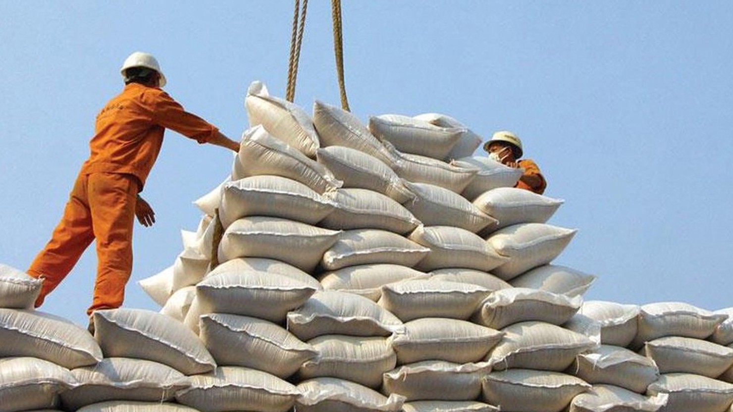 Sẽ mở tờ khai đăng ký xuất khẩu gạo đối với những lô hàng gạo đã đưa vào cảng biển quốc tế, cửa khẩu quốc tế từ 24/3/2020 nhưng chưa đăng ký được tờ khai hải quan. Nguồn: internet