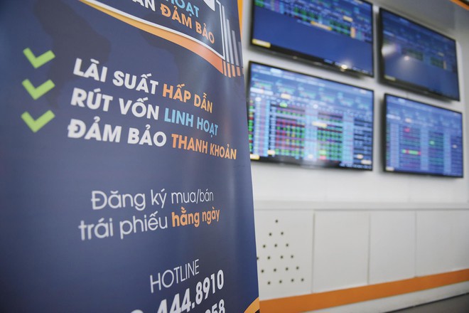 Ảnh minh họa. Nguồn: internet