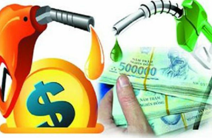 Ảnh minh hoạ. Nguồn: internet