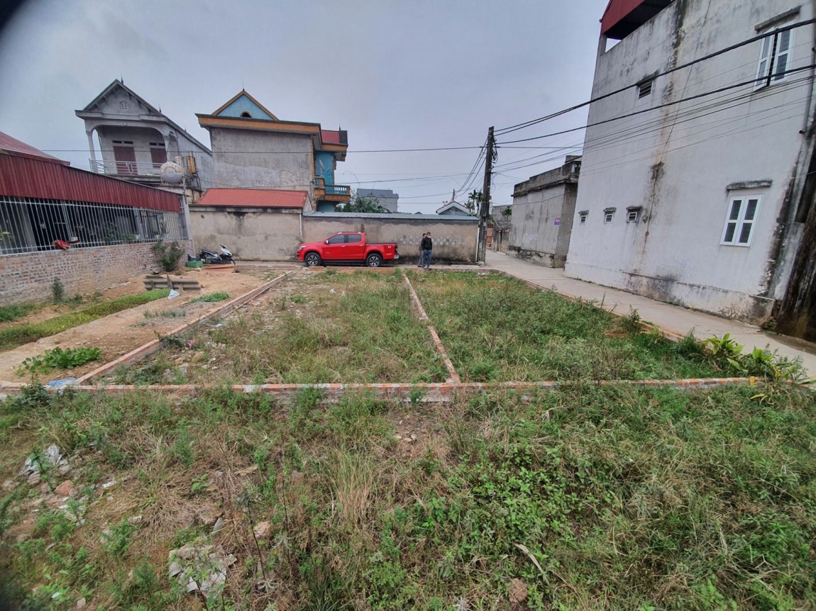 Ảnh minh hoạ. Nguồn: internet