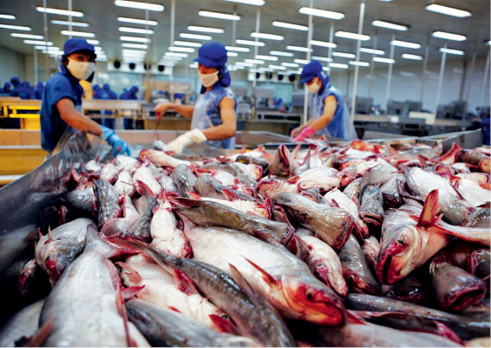Xuất nhập khẩu của Việt Nam cũng bắt đầu "ngấm đòn" dịch COVID-19. Nguồn: internet