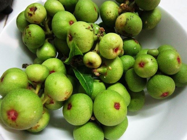 Quả sung là nguồn cung cấp chất xơ dồi dào, giúp hệ tiêu hóa khỏe mạnh.