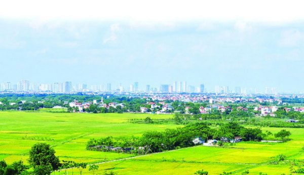 Ảnh minh họa. Nguồn: internet