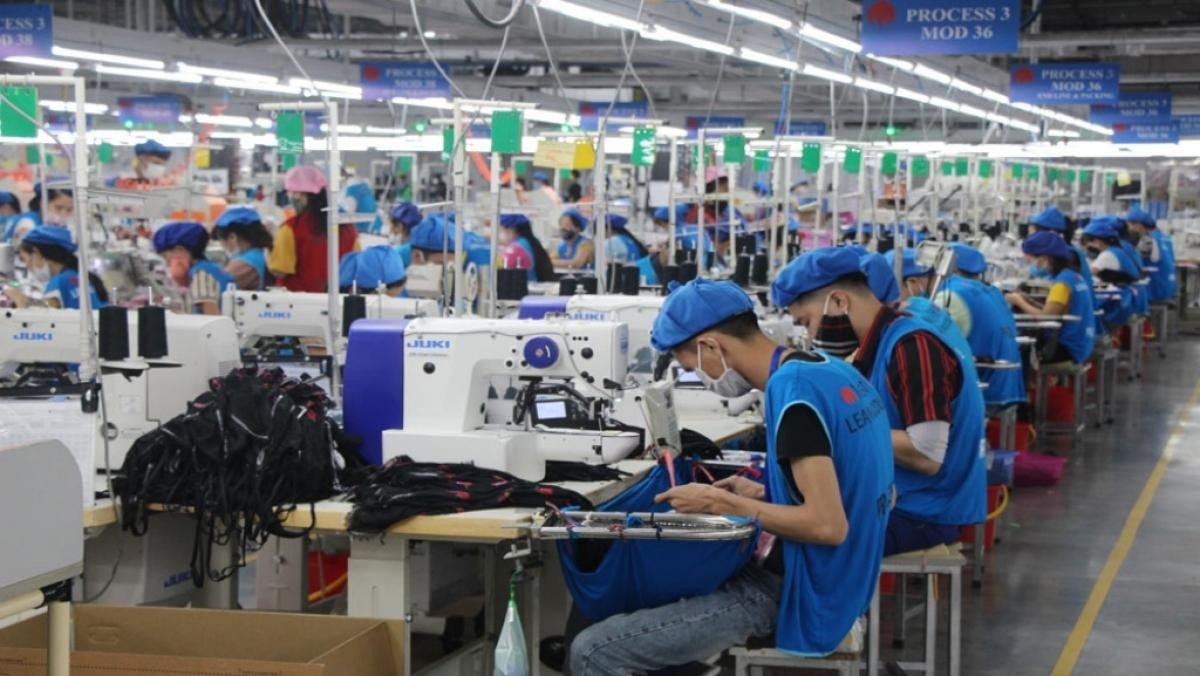 Ảnh minh họa. Nguồn: internet
