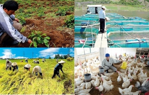 Ảnh minh họa. Nguồn: internet