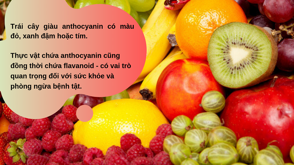 Trái cây chứa hợp chất anthocyanin, có khả năng chống oxy hóa cao, giúp tăng tác dụng của chế độ ăn kiêng giảm cân. Nguồn: internet