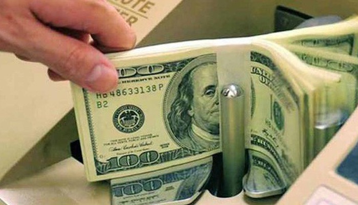 Mỗi năm lượng kiều hối mà người lao động Việt Nam gửi về là 2,5-3 tỷ USD. Nguồn: internet