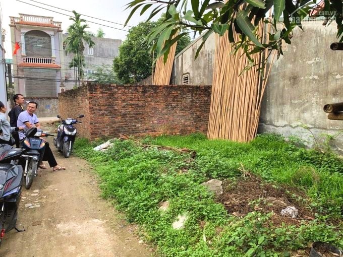 Ảnh minh họa. Nguồn: internet