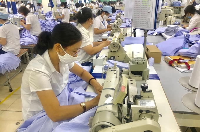 Kim ngạch xuất khẩu hàng dệt và may mặc tăng 14,1% (Ảnh: A.N)