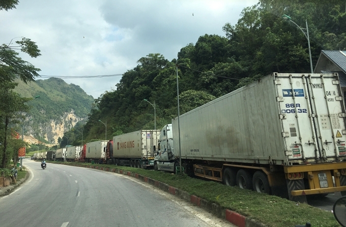 Ảnh minh hoạ. Nguồn: internet