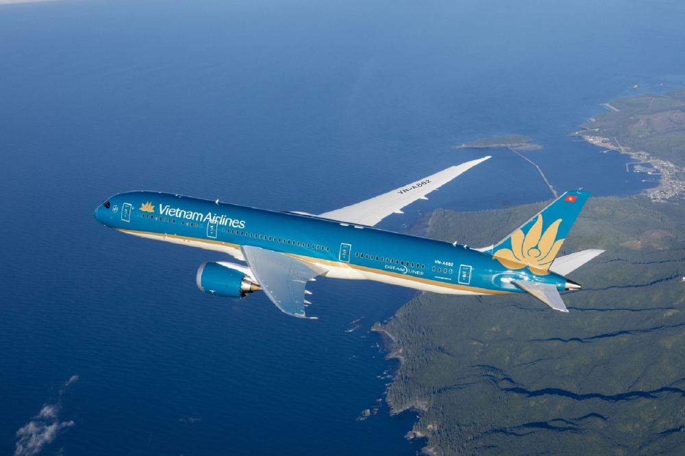 Hãng hàng không quốc gia Việt Nam Vietnam Airlines hiện là hãng hàng không nội địa lớn nhất Việt Nam. Nguồn: internet