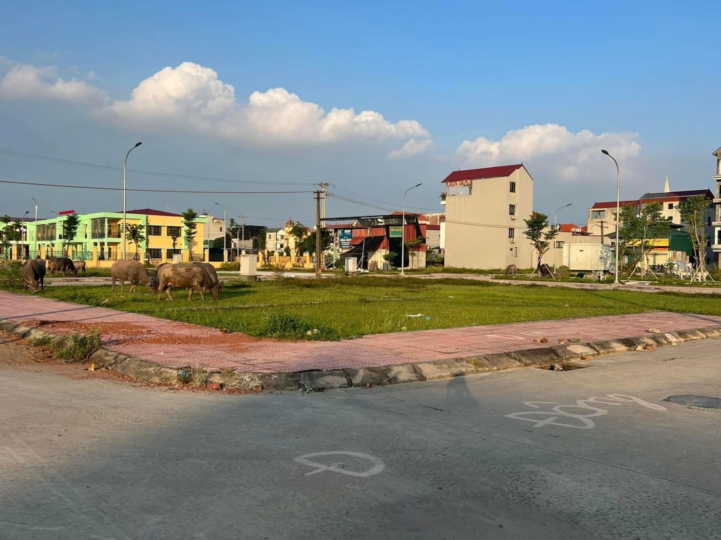 Ảnh minh họa. Nguồn: internet