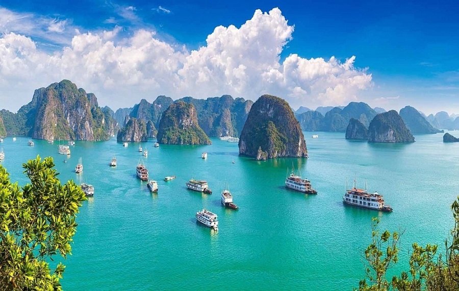 Ảnh minh họa. Nguồn: internet