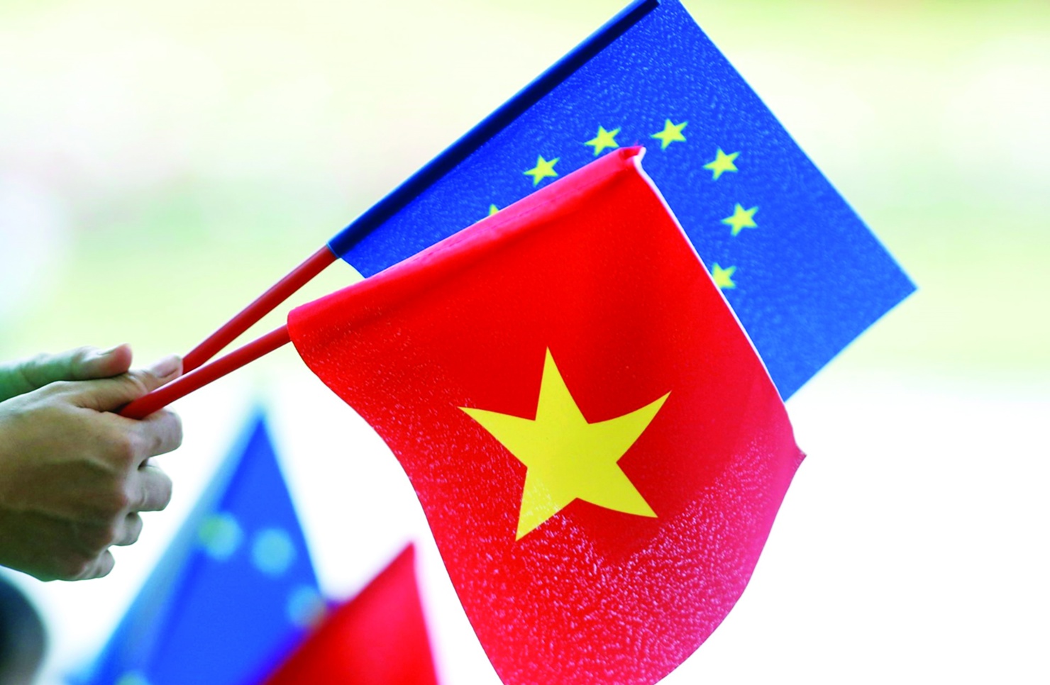 Ảnh minh họa. Nguồn: internet
