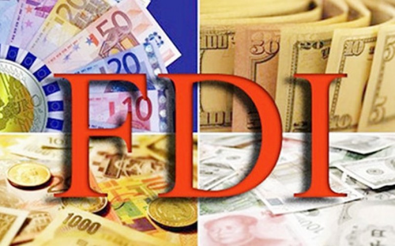 Đóng góp của doanh nghiệp FDI vô cùng quan trọng đối với sự phát triển của nền kinh tế Việt Nam.