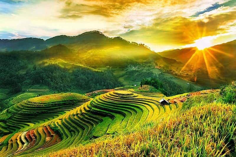 Ảnh minh họa. Nguồn: internet