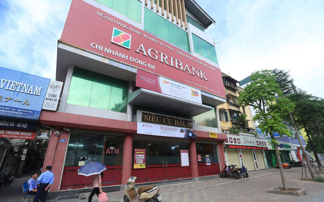 2019 được xem là năm bản lề để Agribank chuẩn bị cổ phần hóa theo chỉ đạo của Thủ tướng Chính phủ, cũng là năm Agribank xác định tiếp tục tập trung triển khai tái cơ cấu giai đoạn 2. Nguồn: internet