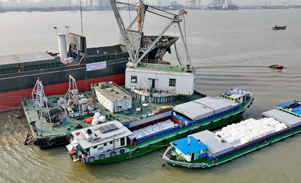 Chi phí đầu vào và logistics tăng, giá gạo không tăng đã làm cho lợi nhuận của doanh nghiệp xuất khẩu gạo Việt Nam sụt giảm mạnh. Ảnh TA