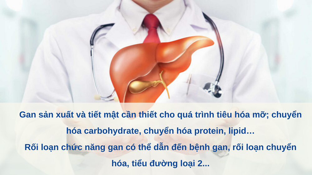 Gan rất quan trọng đối với sức khỏe tổng thể. Nguồn: internet