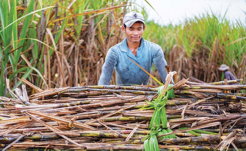 Ảnh minh họa. Nguồn: internet