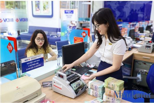  Ảnh: Trọng Hiếu 