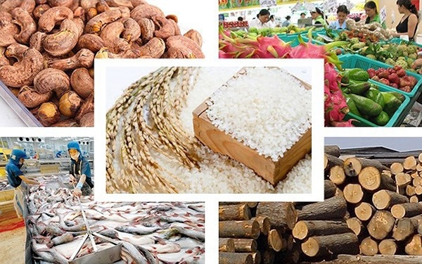 Ảnh minh họa. Nguồn: internet