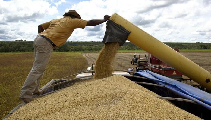 Người nông dân làm việc trên một trang trại sản xuất đậu tương của Mỹ - Ảnh: Reuters