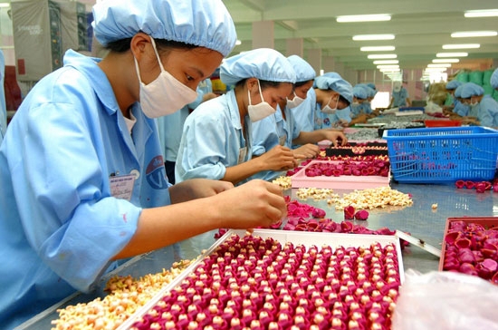 Ảnh minh họa. Nguồn: internet