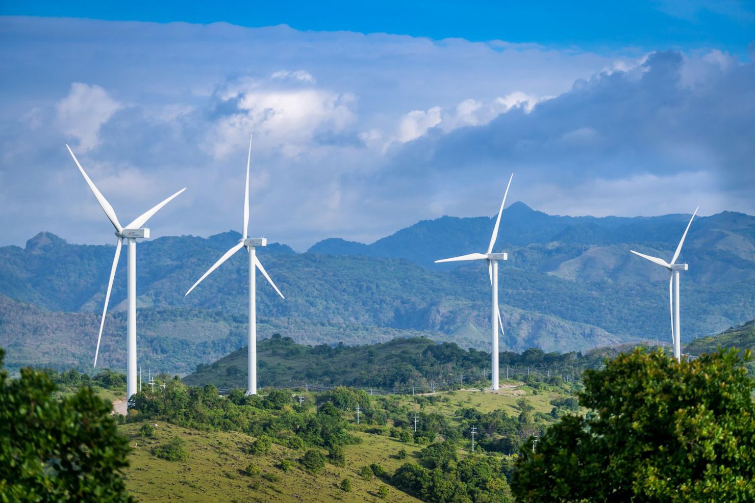 Trang eco-business (Singapore) ngày 19/11 nhận xét Việt Nam đang nổi lên trở thành “anh hùng điện gió”. Nguồn: internet