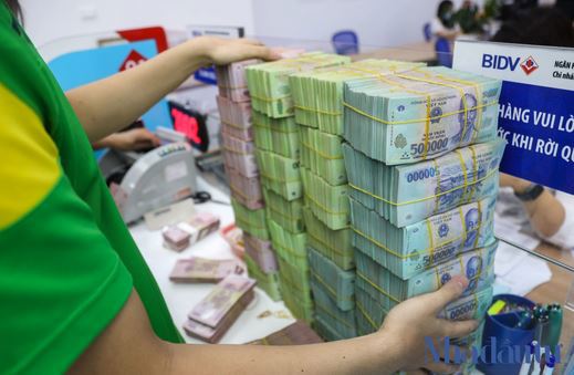 Ảnh minh họa. Nguồn: nhadautu.vn