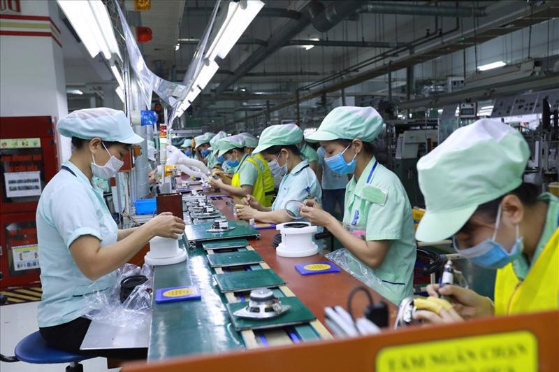 Ảnh minh họa. Nguồn: internet