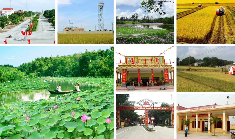 Ảnh minh họa. Nguồn: internet
